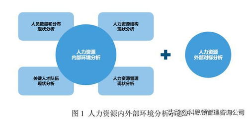 某設計企業人力資源規劃咨詢案例